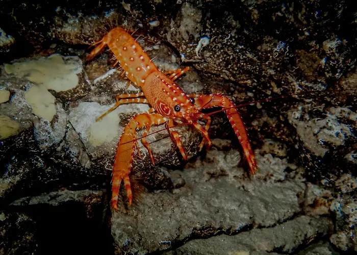 Atlantic 3* 라스팔마스