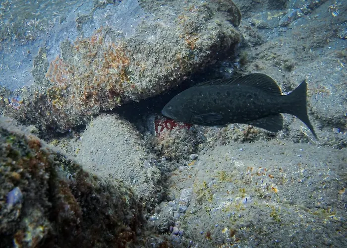 아파트호텔 Atlantic